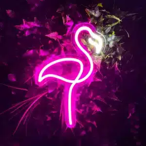 Neon Flamant Rose 1