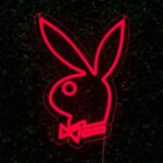 neon playboy