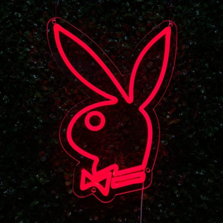 neon playboy