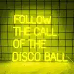 Neon Follow the Call of the Disco Ball 1