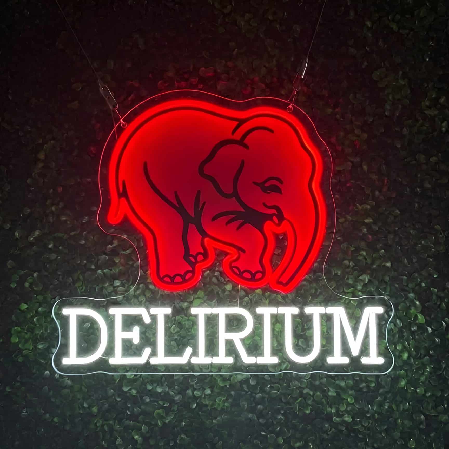 Neon LED Delirium