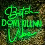 Neon Bitch Don't Kill My Vibe 2