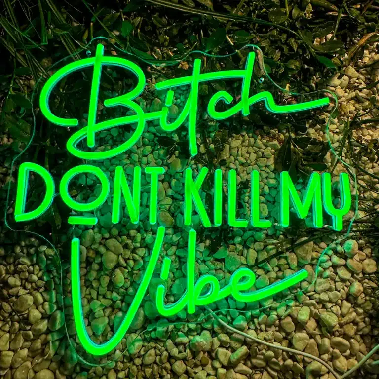 Neon Bitch Don't Kill My Vibe 2