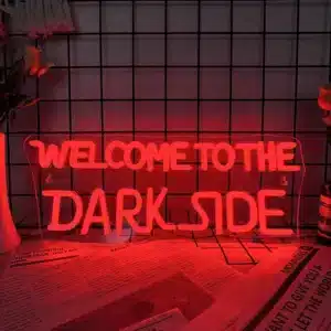 Neon Welcome to the Dark Side 1