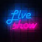 Enseigne au néon LED Disco, un cadeau pour les amateurs de Disco, utilisé pour la décoration des chambres, des bars de musique, des clubs, des fêtes et des studios de danse, alimenté par USB 1