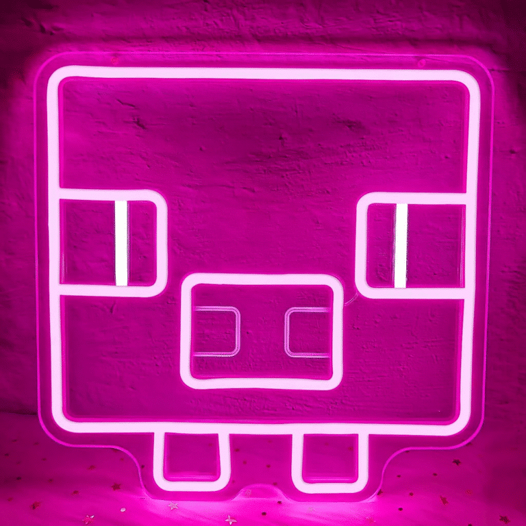 neon cochon minecraft