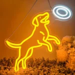Neon Chien Frisbee 1