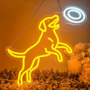 Neon Chien Frisbee 1