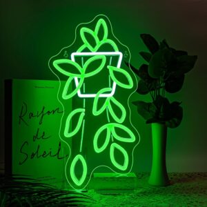 Neon Plante Pothos
