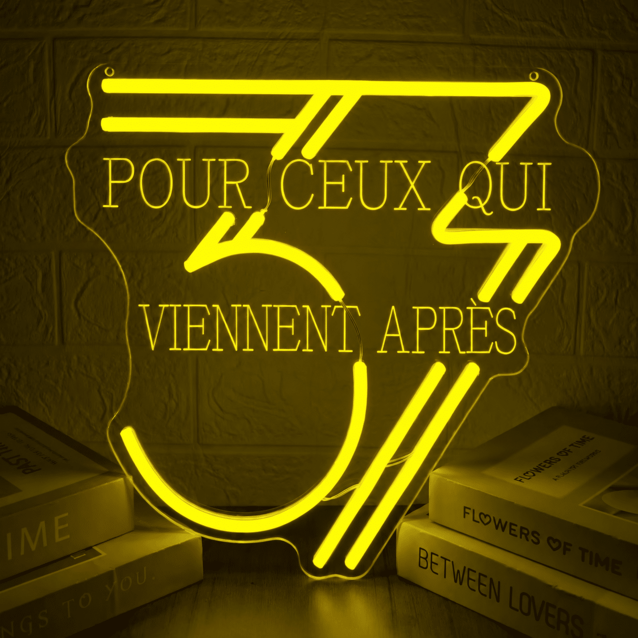 Neon LED Pour ceux qui viennent après (Expédition 33)